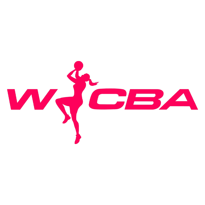 WCBA 北京首钢园vs石家庄英励20251224