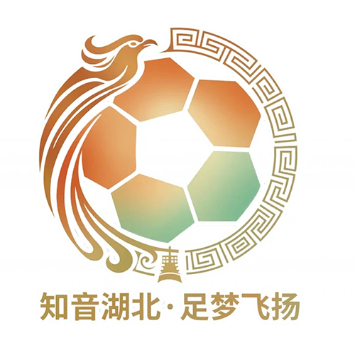 湖北省城市足球联赛 十堰武当队VS宜昌东阳光队20260613